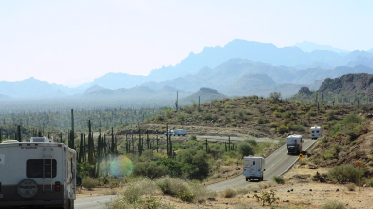 99a44ad9b066b51204375c5636e9ab4d 768x432