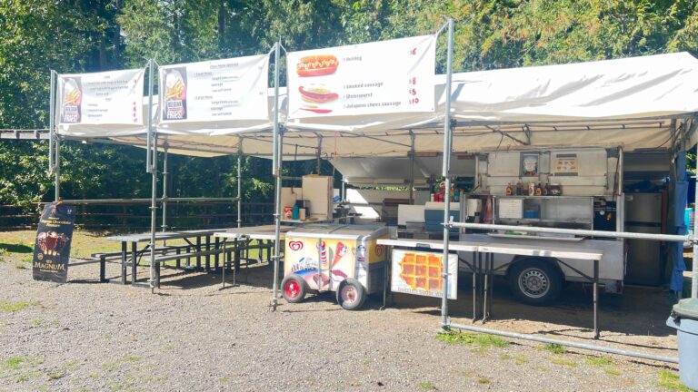 IMG 0601 copy 768x432