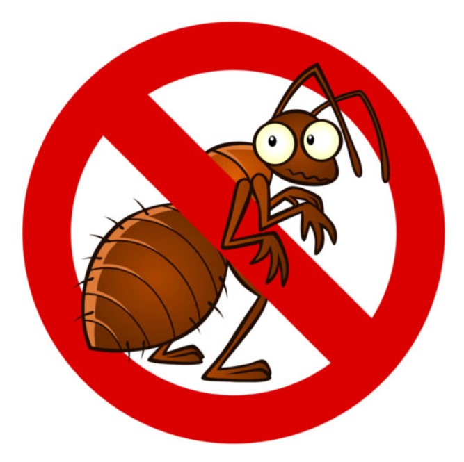 pest control